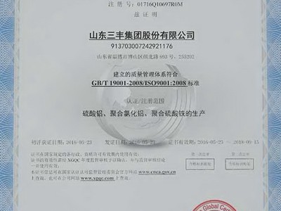 聚合氯化铝 净水絮凝剂 三丰环境集团图2