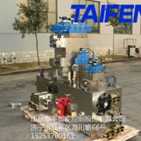 山东泰丰智能供应100T折弯机用插装阀B46.3-4B-JH